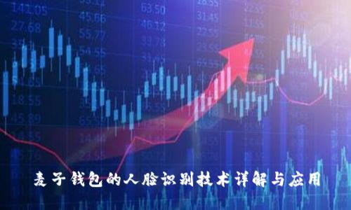麦子钱包的人脸识别技术详解与应用