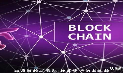 
比原链挖矿钱包：数字资产的新选择