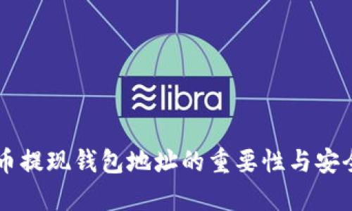 虚拟货币提现钱包地址的重要性与安全性分析