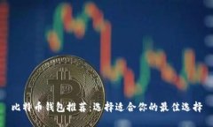 比特币钱包推荐：选择适