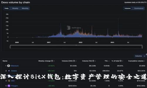 深入探讨BitX钱包：数字资产管理的安全之道