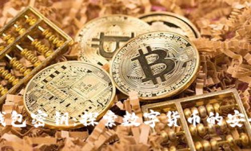 流浪的比特币钱包密钥：探索数字货币的安全性与隐私保护