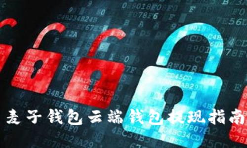 麦子钱包云端钱包提现指南