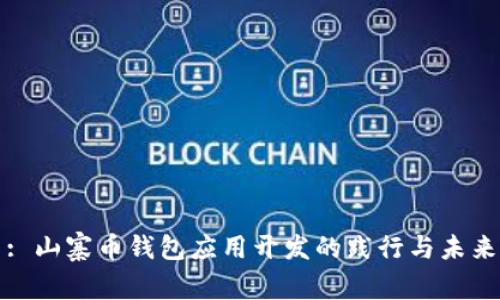 : 山寨币钱包应用开发的践行与未来