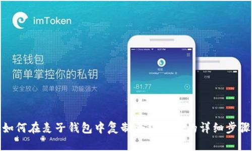 如何在麦子钱包中复制合约地址的详细步骤