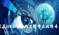 如何在iOS上安全地使用中
