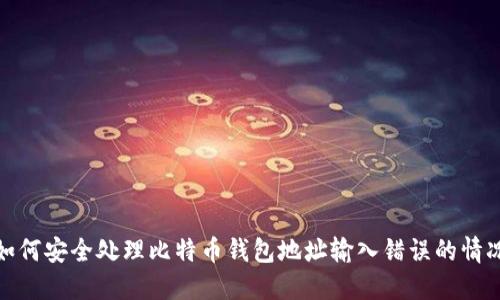 如何安全处理比特币钱包地址输入错误的情况