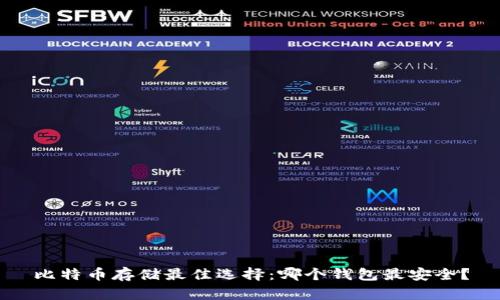 比特币存储最佳选择：哪个钱包最安全？