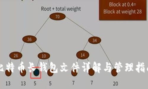 比特币长钱包文件详解与管理指南