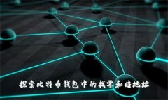 探索比特币钱包中的找零