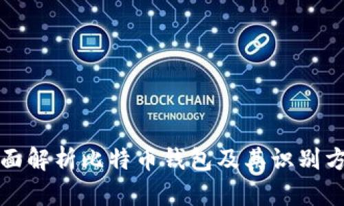 全面解析比特币钱包及其识别方法