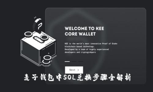 麦子钱包中SOL兑换步骤全解析