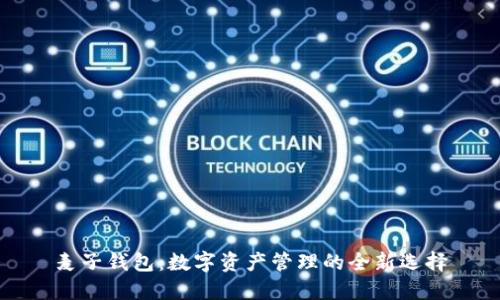 麦子钱包：数字资产管理的全新选择