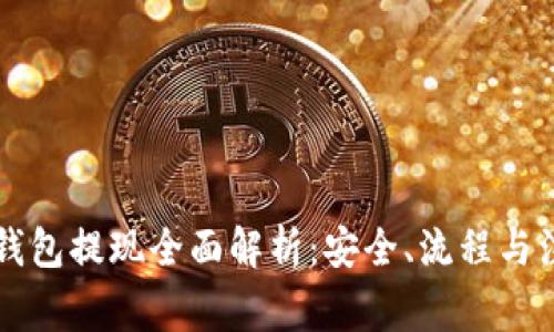 区块链钱包提现全面解析：安全、流程与注意事项