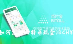 以太坊钱包如何支持比特
