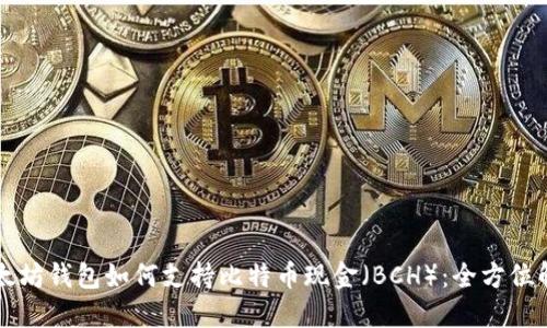 以太坊钱包如何支持比特币现金（BCH）：全方位解读