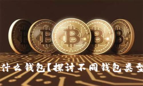 买虚拟币用什么钱包？探讨不同钱包类型及其优缺点
