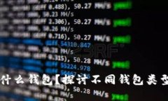 买虚拟币用什么钱包？探