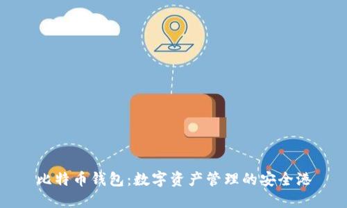 比特币钱包：数字资产管理的安全港