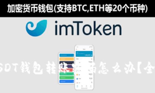 忘记USDT钱包转账密码怎么办？全面指南