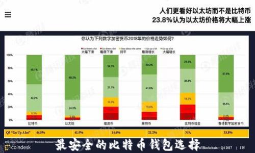 
最安全的比特币钱包选择