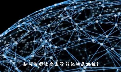 如何选择适合麦子钱包的区块链？