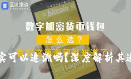 区块链钱包地址确实可以追溯吗？深度解析其追溯机制与隐私保护