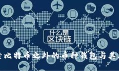探索比特币之外的币种钱
