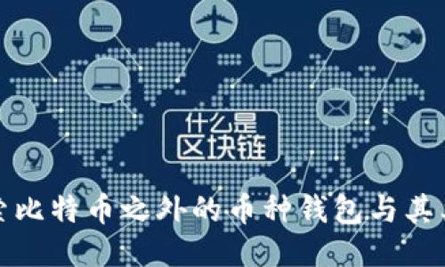 探索比特币之外的币种钱包与其类型