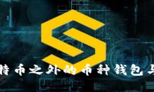 探索比特币之外的币种钱包与其类型