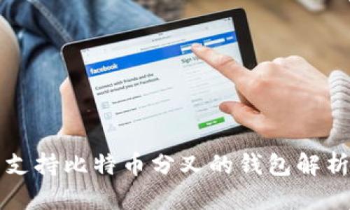 支持比特币分叉的钱包解析
