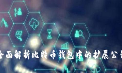 全面解析比特币钱包中的扩展公钥