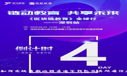  如何高效查找比特币电子钱包及其所有信息
