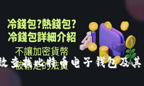  如何高效查找比特币电子钱包及其所有信息