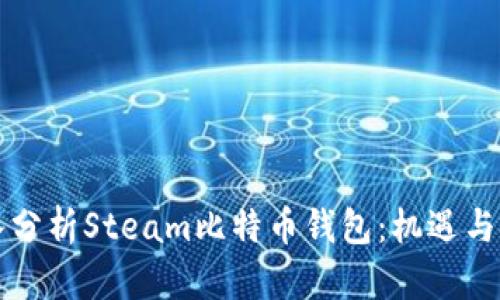 深入分析Steam比特币钱包：机遇与挑战