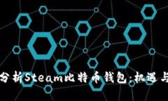 深入分析Steam比特币钱包：