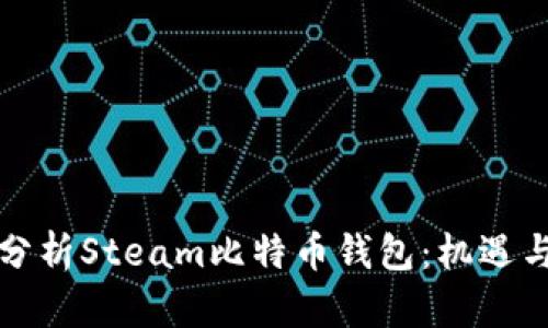 深入分析Steam比特币钱包：机遇与挑战
