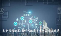 麦子钱包糖果：新时代数