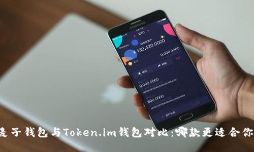 麦子钱包与Token.im钱包对比：哪款更适合你？