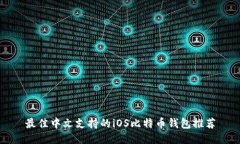 最佳中文支持的iOS比特币
