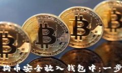 如何将狗狗币安全放入钱