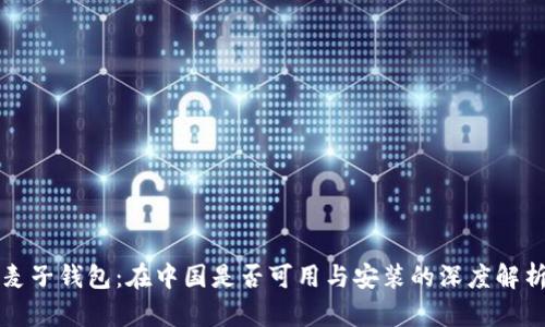 麦子钱包：在中国是否可用与安装的深度解析