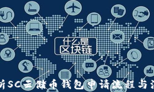 
全面解析SC云储币钱包申请流程与注意事项