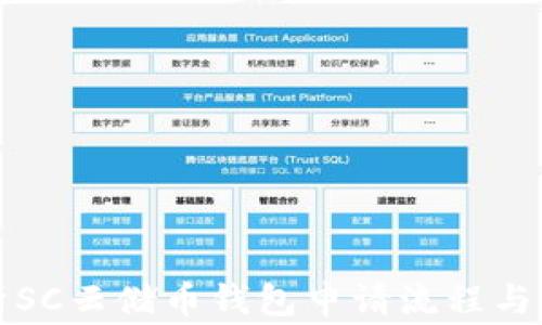 
全面解析SC云储币钱包申请流程与注意事项