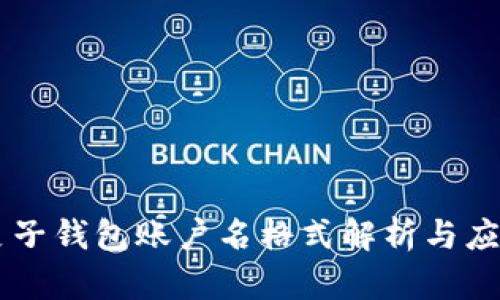 麦子钱包账户名格式解析与应用