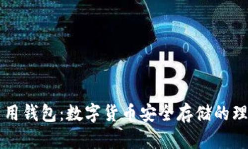 币子专用钱包：数字货币安全存储的理想选择