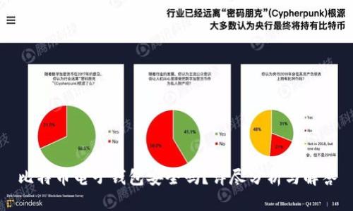 比特币电子钱包安全吗？详尽分析与解答