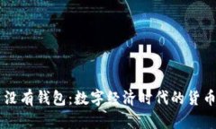 货币没有钱包：数字经济