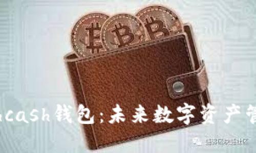 探索超级现金hcash钱包：未来数字资产管理的解决方案