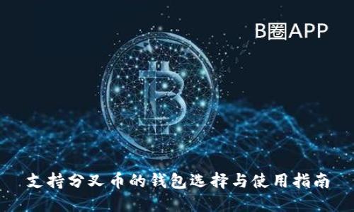 支持分叉币的钱包选择与使用指南
